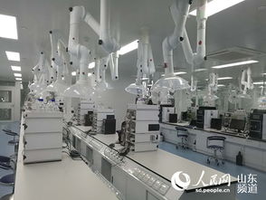 山東羅欣制藥 以創(chuàng)新為翼，打破國(guó)外壟斷，引領(lǐng)醫(yī)藥研發(fā)與國(guó)際水平同步前行